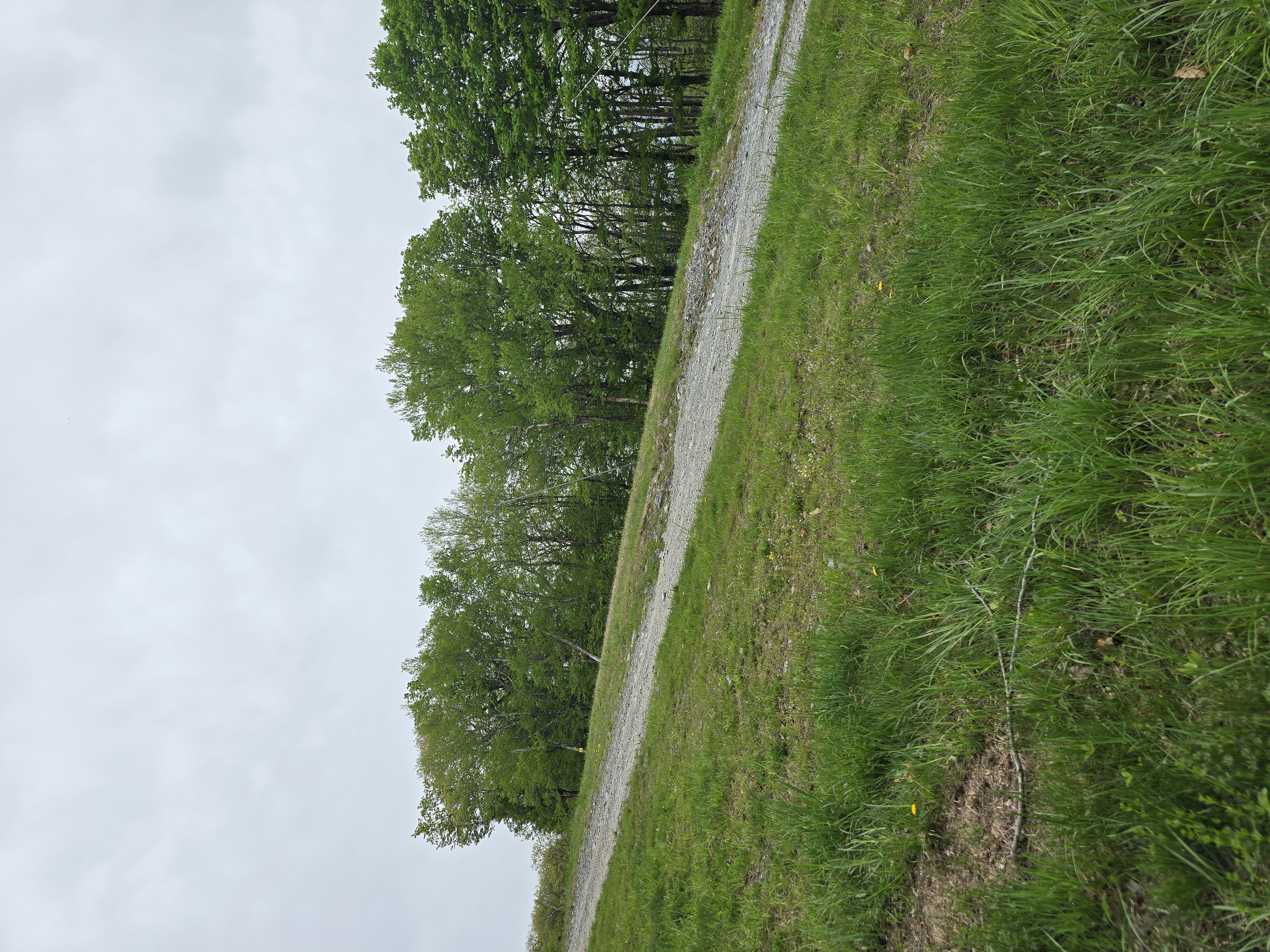 Photo of the mountain section blocking the line-of-sight to Bousquet